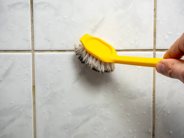 Mold Testing and Removal in Aberdeen, MD