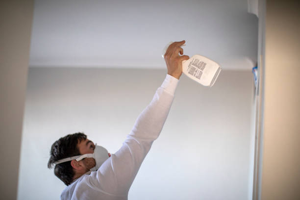 Best Residential Mold Removal  in Aberdeen, MD