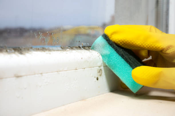 Best Emergency Mold Removal  in Aberdeen, MD